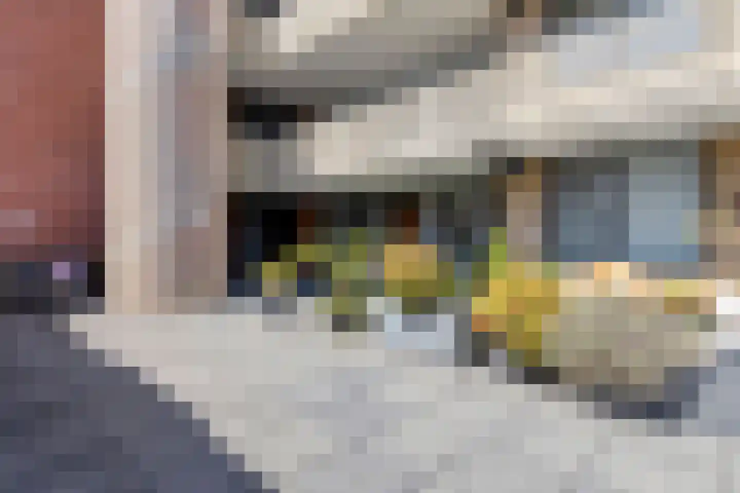 Oostlaan 92 Pijnacker thumbnail 19
