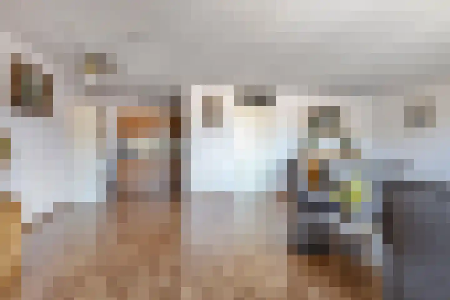 Oostlaan 92 Pijnacker thumbnail 8