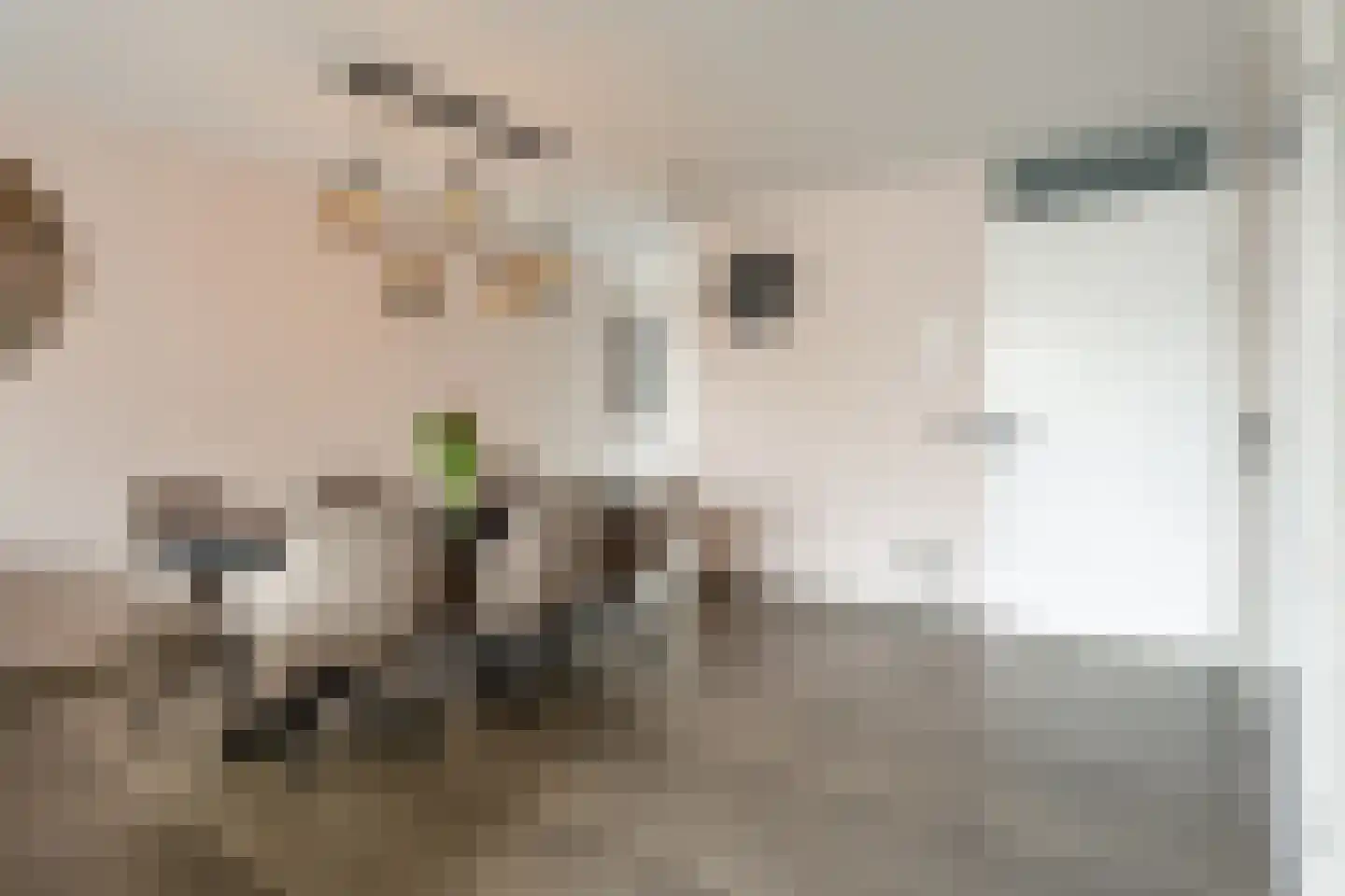 Oostlaan 99 Hoogerheide thumbnail 10