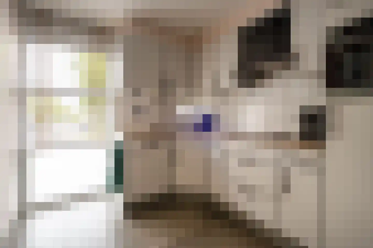 Oostlaan 99 Hoogerheide thumbnail 11