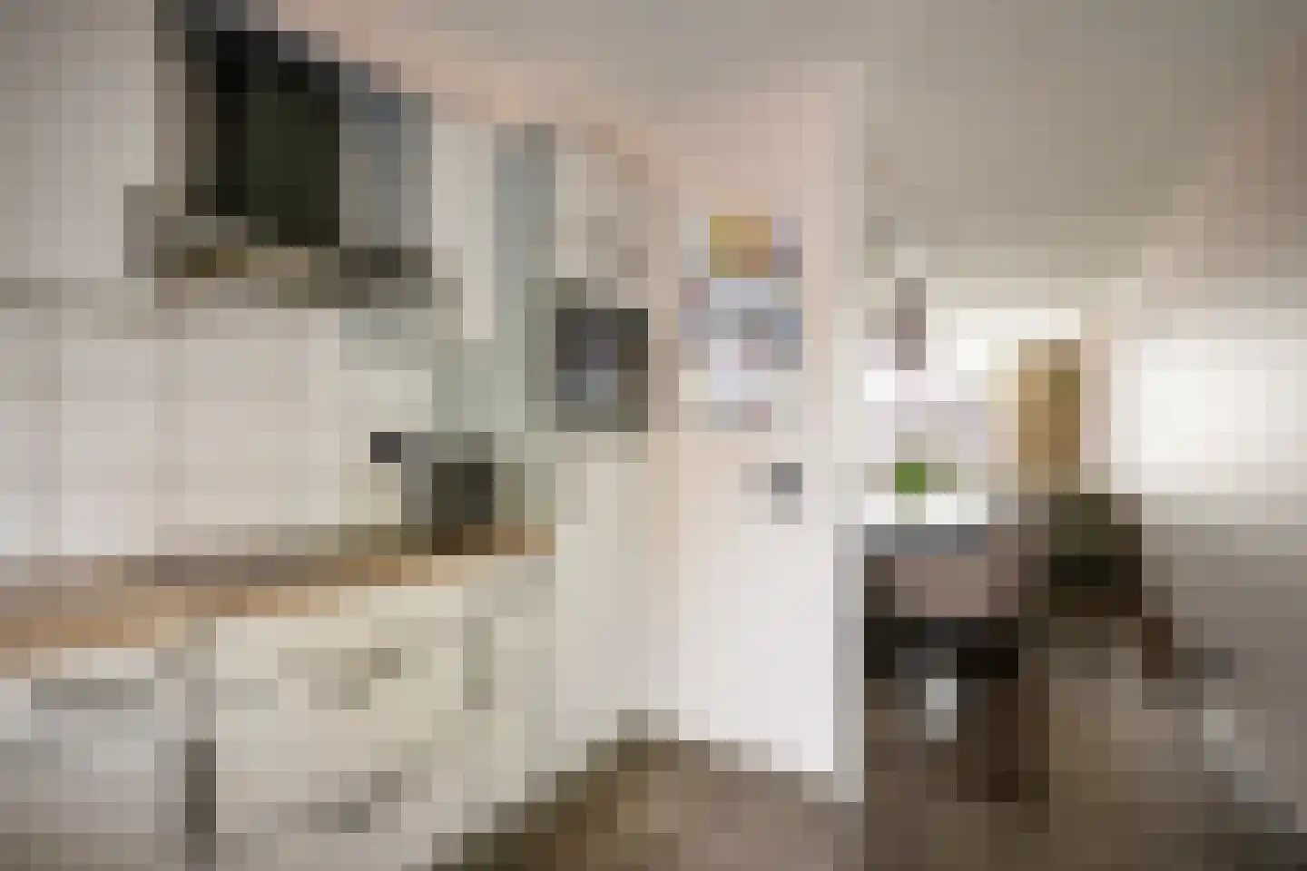 Oostlaan 99 Hoogerheide thumbnail 13