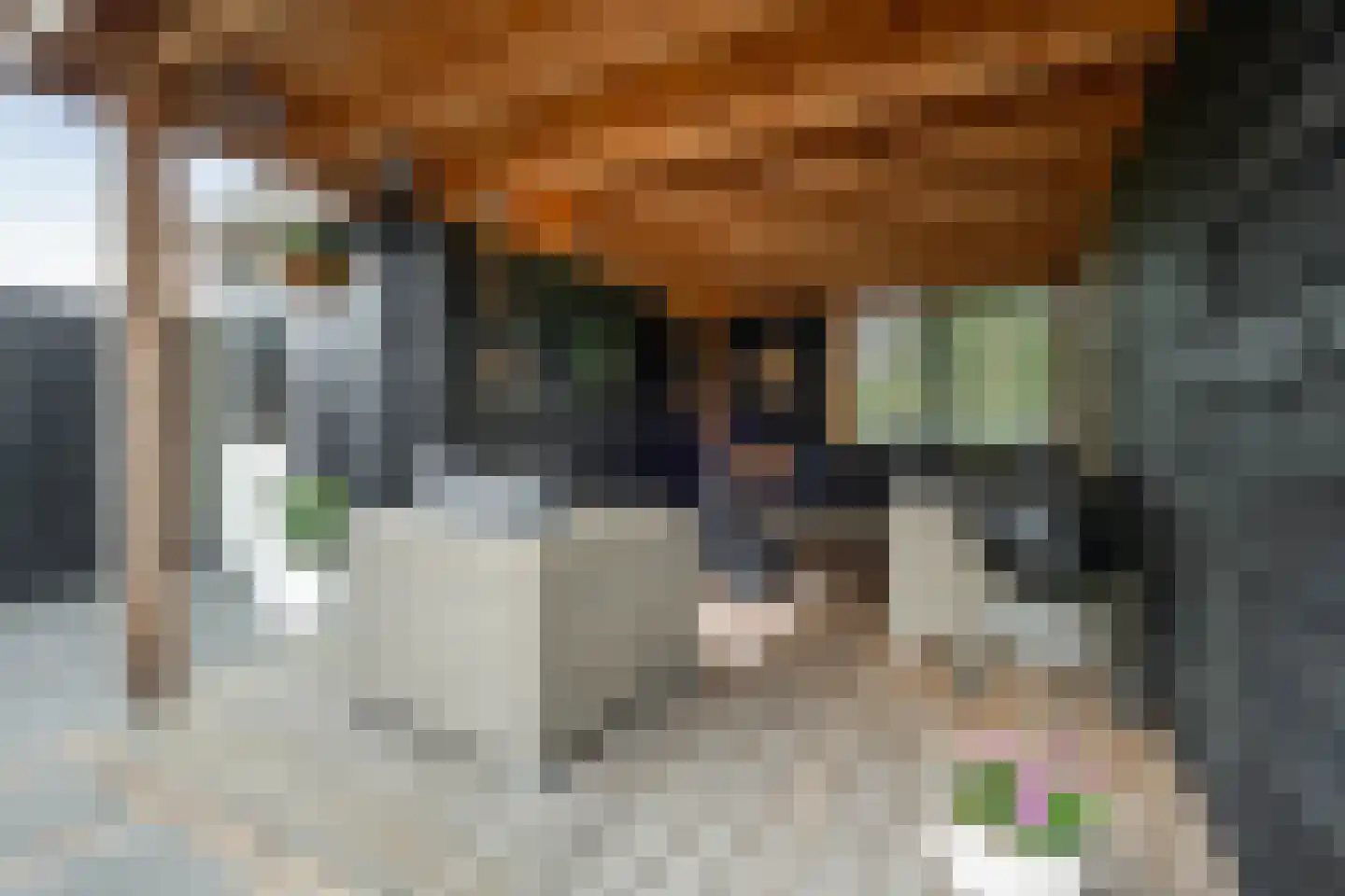 Oostlaan 99 Hoogerheide thumbnail 34