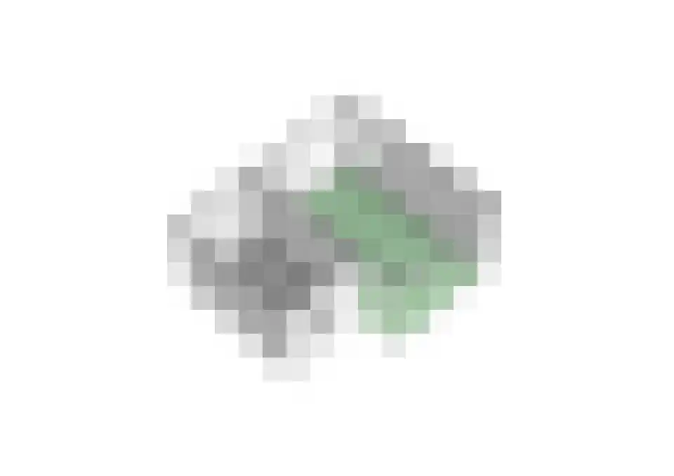 Oostlaan 99 Hoogerheide thumbnail 49