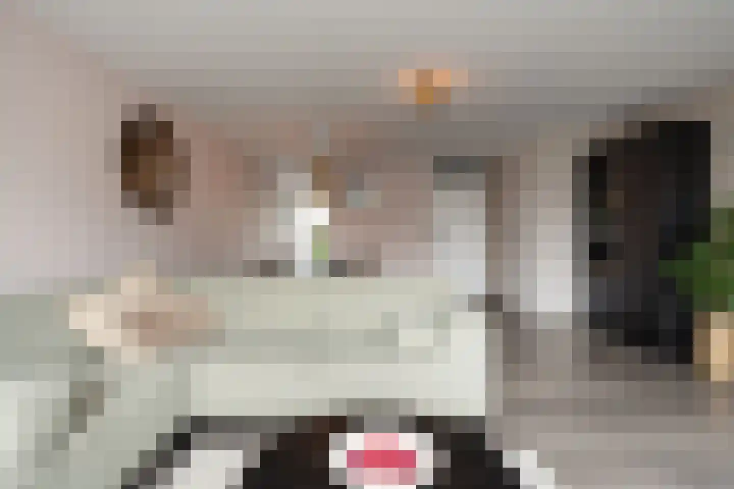 Oostlaan 99 Hoogerheide thumbnail 9