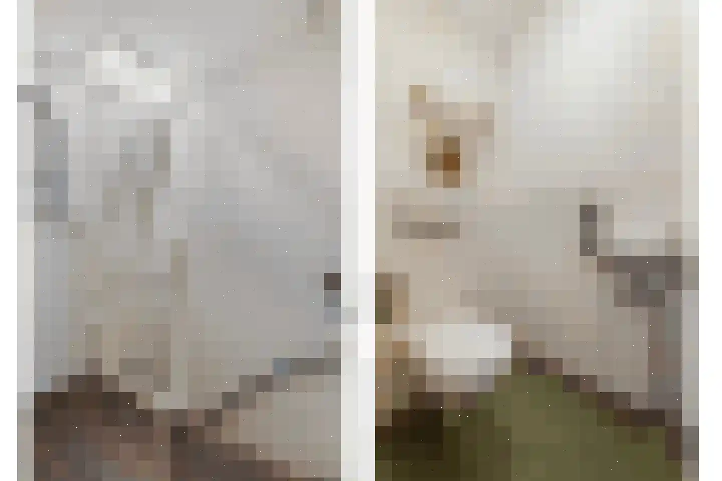 Oostmaaslaan 111 B 01 Rotterdam thumbnail 18