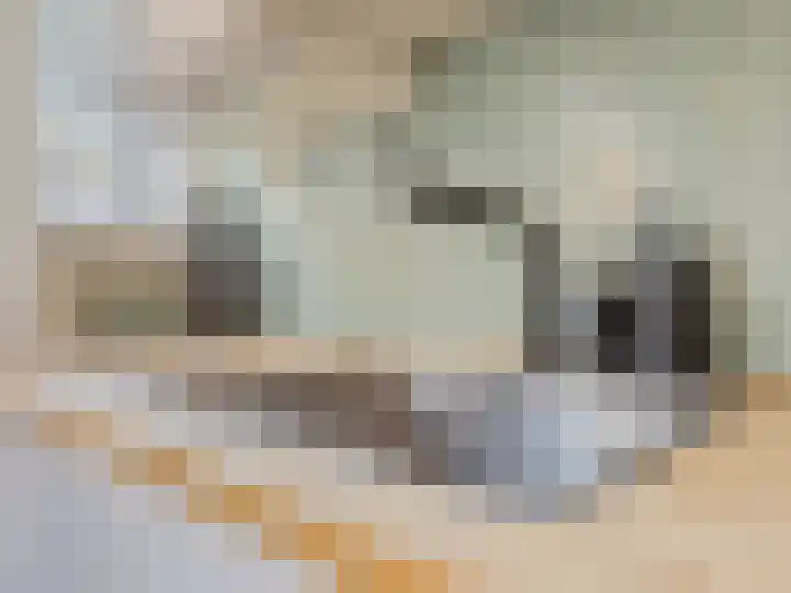 Oostmaaslaan 129 A 01 Rotterdam thumbnail 12