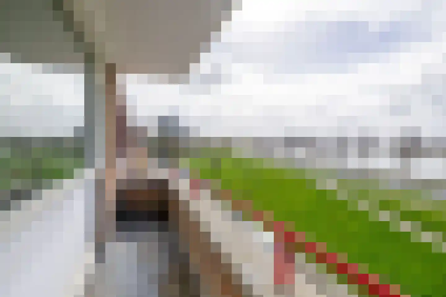 Oostmaaslaan 147 A Rotterdam thumbnail 19