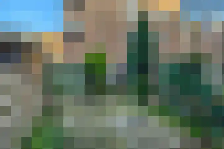 Oostmaaslaan 147 B 03 Rotterdam thumbnail 25