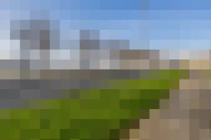 Oostmaaslaan 147 B 03 Rotterdam thumbnail 5