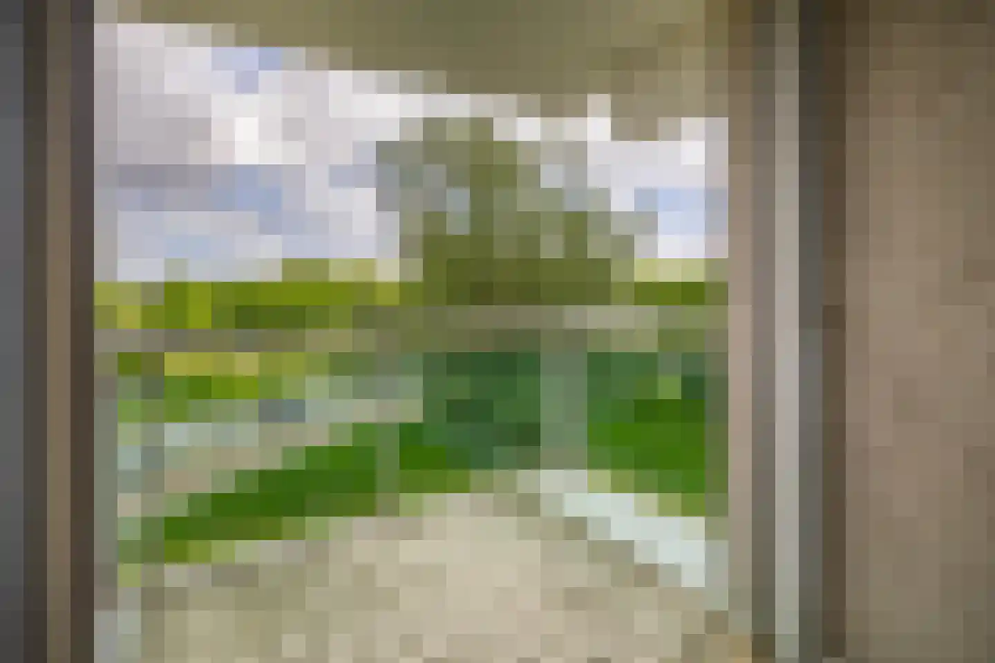 Oostmaaslaan 178 Rotterdam thumbnail 22