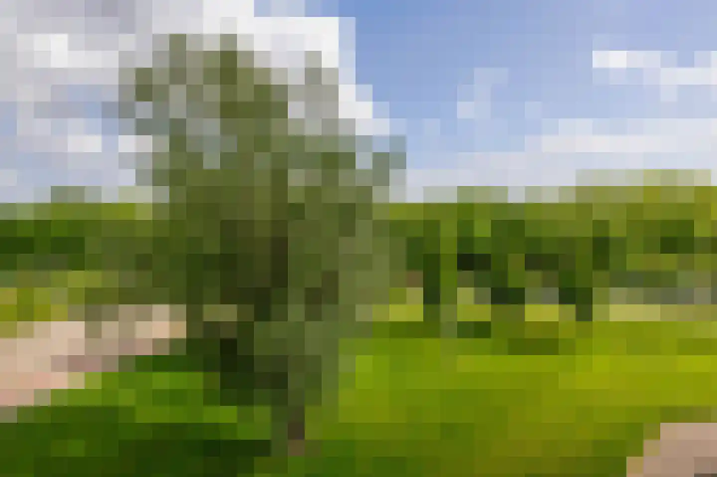 Oostmaaslaan 178 Rotterdam thumbnail 4