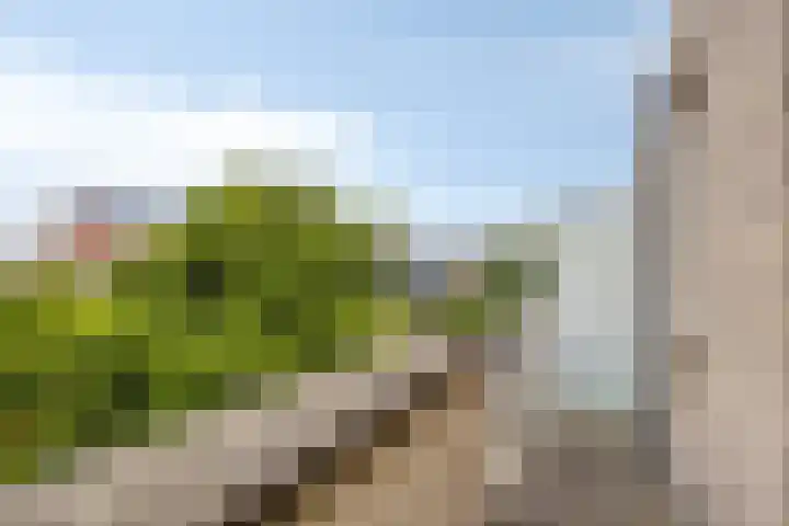 Oostmaaslaan 195 D Rotterdam thumbnail 12