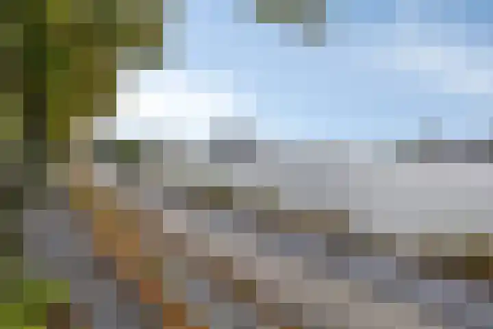 Oostmaaslaan 195 D Rotterdam thumbnail 20