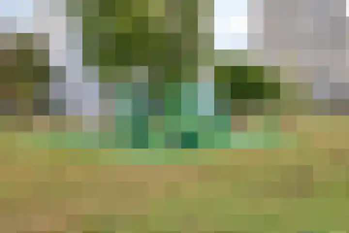 Oostmaaslaan 195 D Rotterdam thumbnail 21
