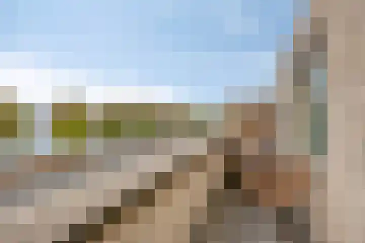 Oostmaaslaan 195 D Rotterdam thumbnail 7