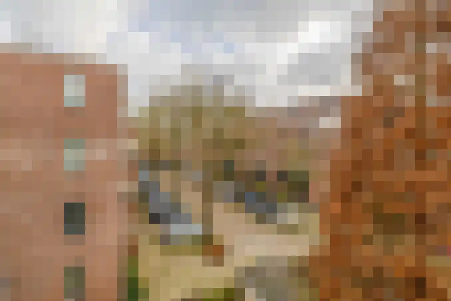 Oostmaaslaan 209 A 01 Rotterdam thumbnail 21