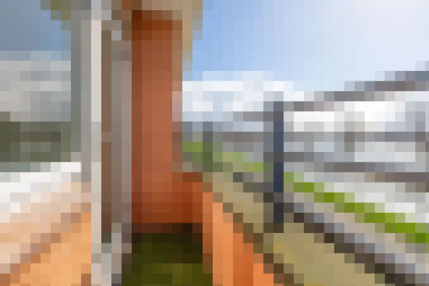 Oostmaaslaan 209 A 02 Rotterdam thumbnail 25