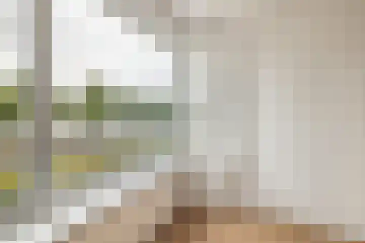 Oostmaaslaan 211 B 02 Rotterdam thumbnail 22