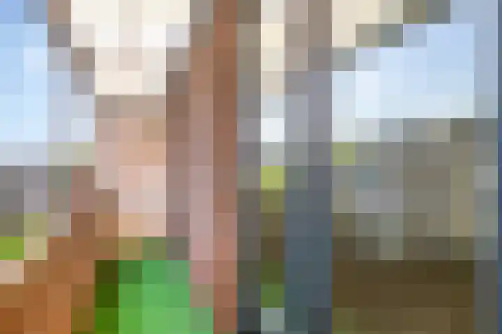 Oostmaaslaan 217 A 02 Rotterdam thumbnail 19