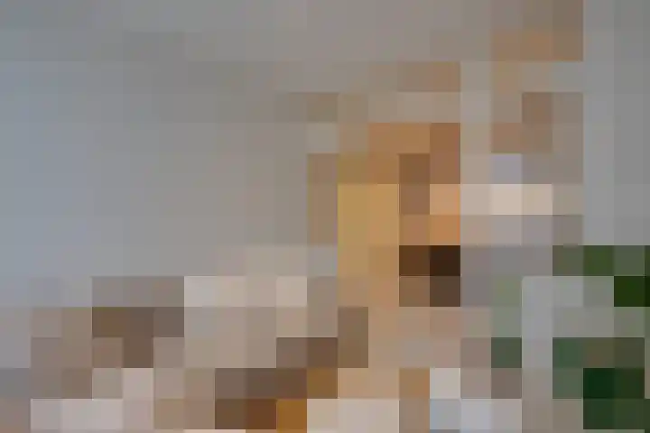 Oostmaaslaan 217 A 02 Rotterdam thumbnail 20
