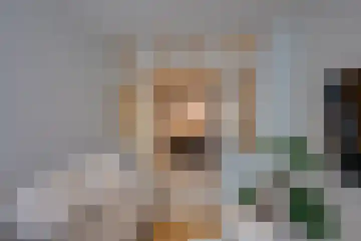 Oostmaaslaan 217 A 02 Rotterdam thumbnail 21