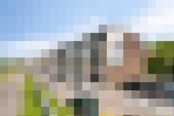 Oostmaaslaan 217 A 02 Rotterdam thumbnail 26