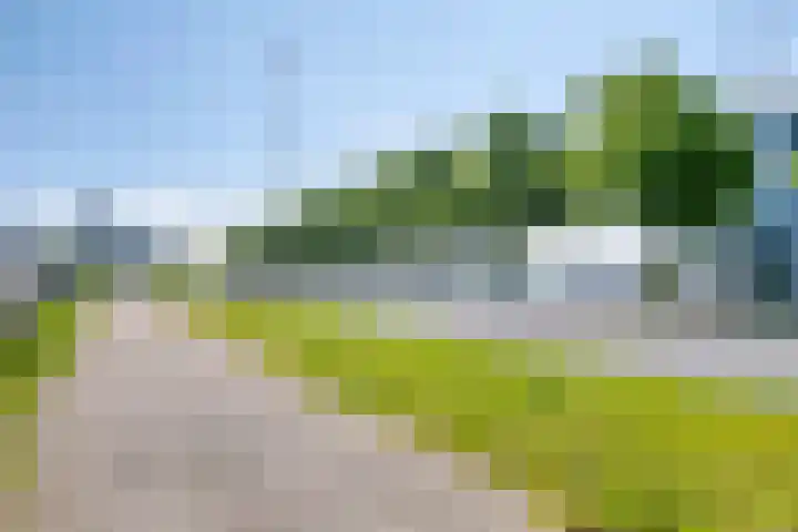 Oostmaaslaan 217 A 02 Rotterdam thumbnail 27