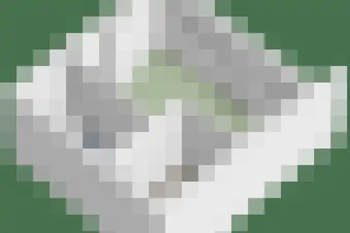 Oostmaaslaan 217 A 02 Rotterdam thumbnail 36