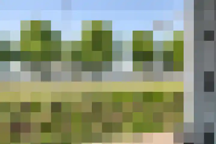 Oostmaaslaan 217 A 02 Rotterdam thumbnail 38