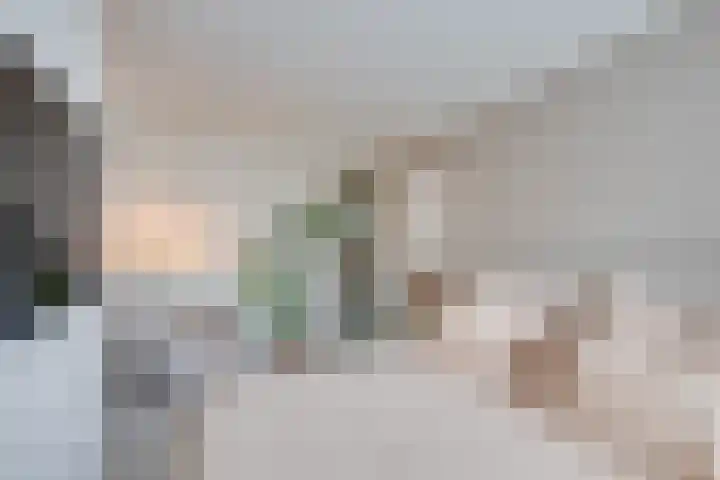 Oostmaaslaan 217 A 02 Rotterdam thumbnail 39