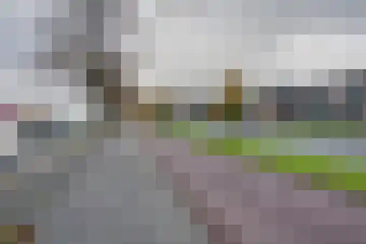 Oostmaaslaan 217 A 02 Rotterdam thumbnail 5