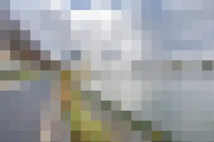 Oostmaaslaan 217 A 02 Rotterdam thumbnail 53