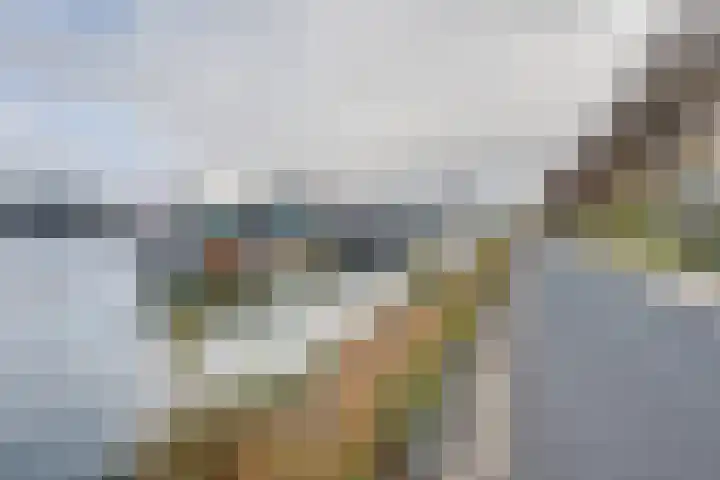 Oostmaaslaan 217 A 02 Rotterdam thumbnail 54