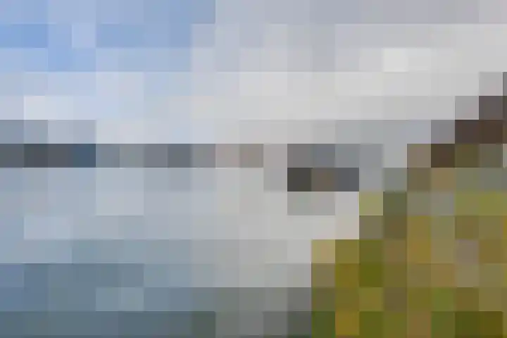 Oostmaaslaan 217 A 02 Rotterdam thumbnail 55
