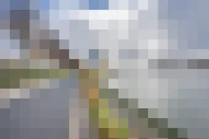 Oostmaaslaan 217 A 02 Rotterdam thumbnail 7