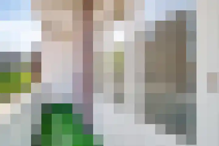 Oostmaaslaan 217 A 02 Rotterdam thumbnail 9
