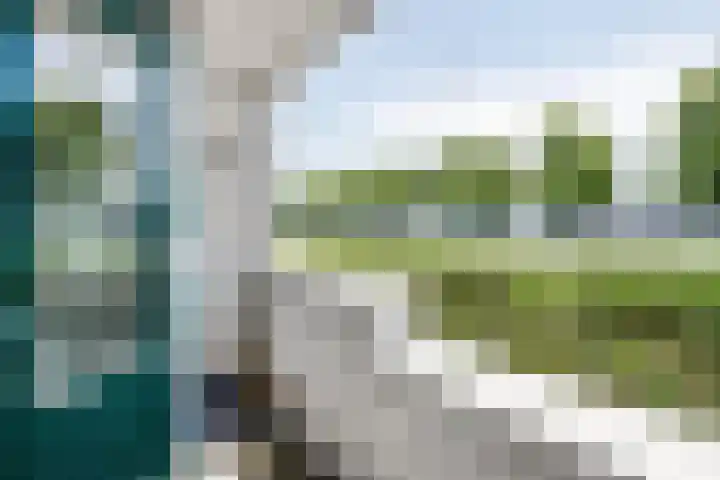 Oostmaaslaan 225 D Rotterdam thumbnail 10
