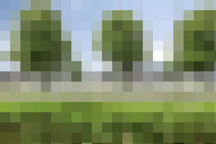 Oostmaaslaan 225 D Rotterdam thumbnail 11
