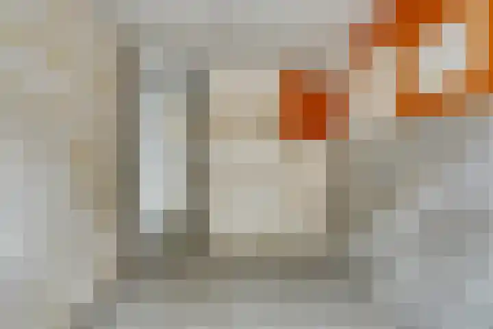 Oostmaaslaan 225 D Rotterdam thumbnail 19