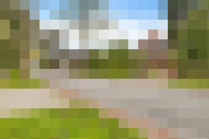 Oostmaaslaan 225 D Rotterdam thumbnail 23