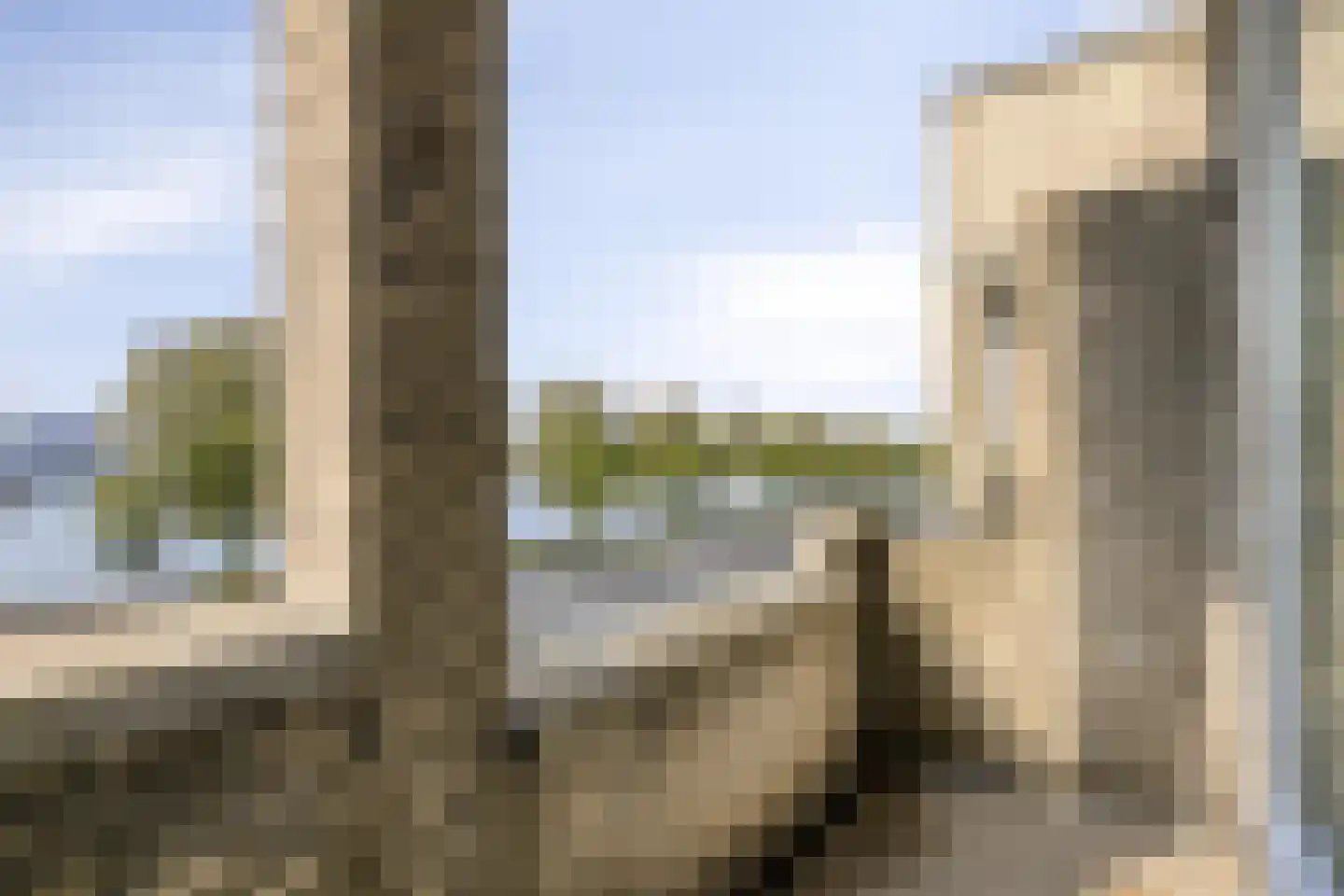 Oostmaaslaan 225 D Rotterdam thumbnail 9