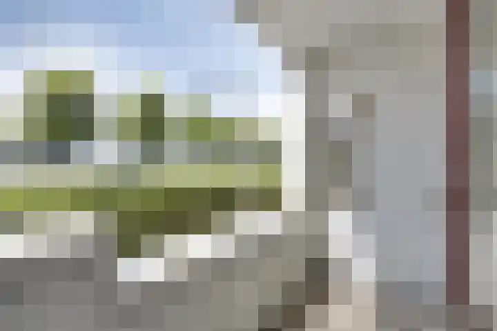 Oostmaaslaan 225 D Rotterdam thumbnail 9