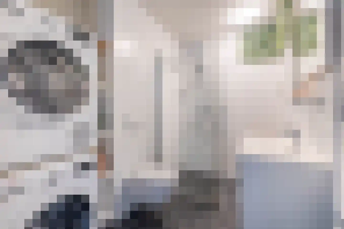 Oostmaaslaan 225 E Rotterdam thumbnail 18