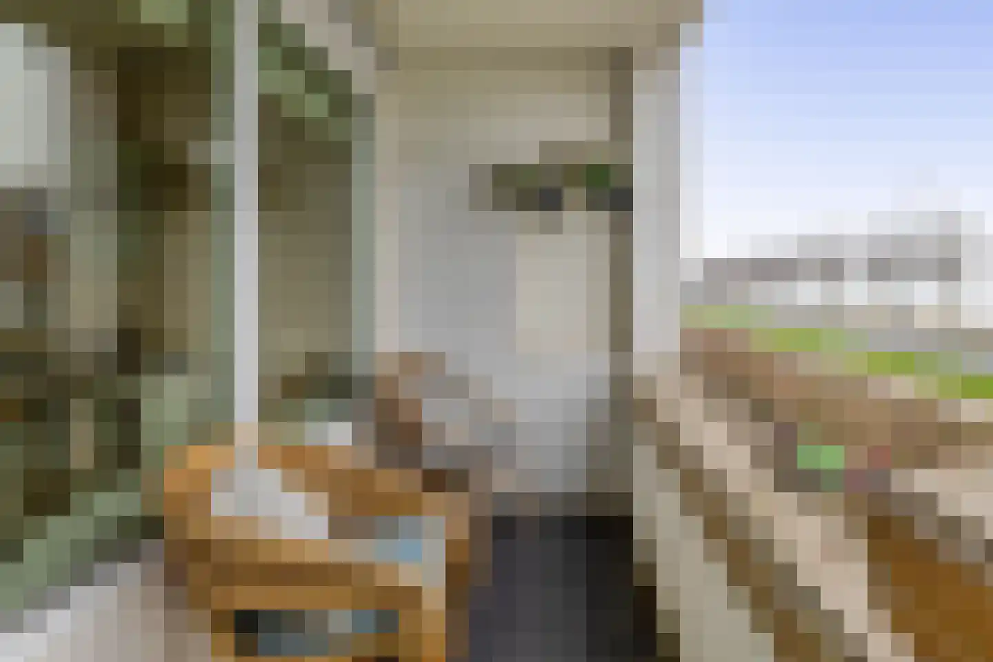 Oostmaaslaan 231 D Rotterdam thumbnail 19