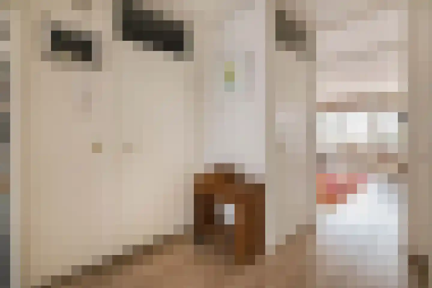 Oostmaaslaan 231 E Rotterdam thumbnail 13