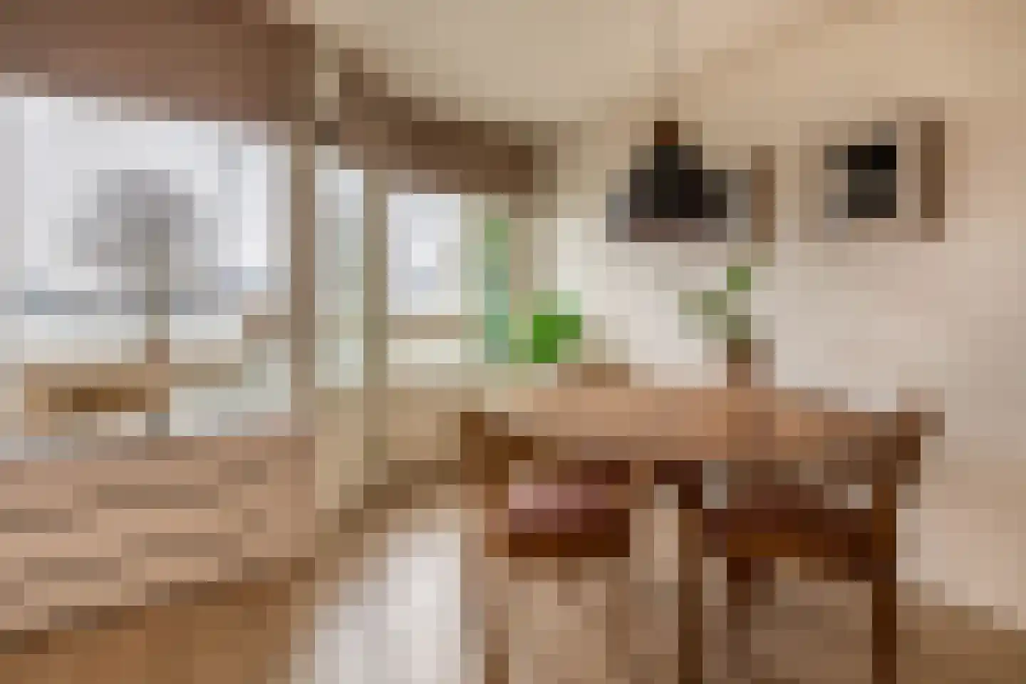 Oostmaaslaan 231 E Rotterdam thumbnail 18