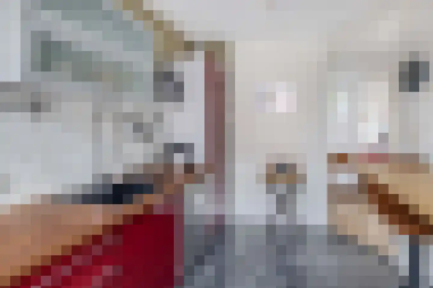 Oostmaaslaan 231 E Rotterdam thumbnail 20