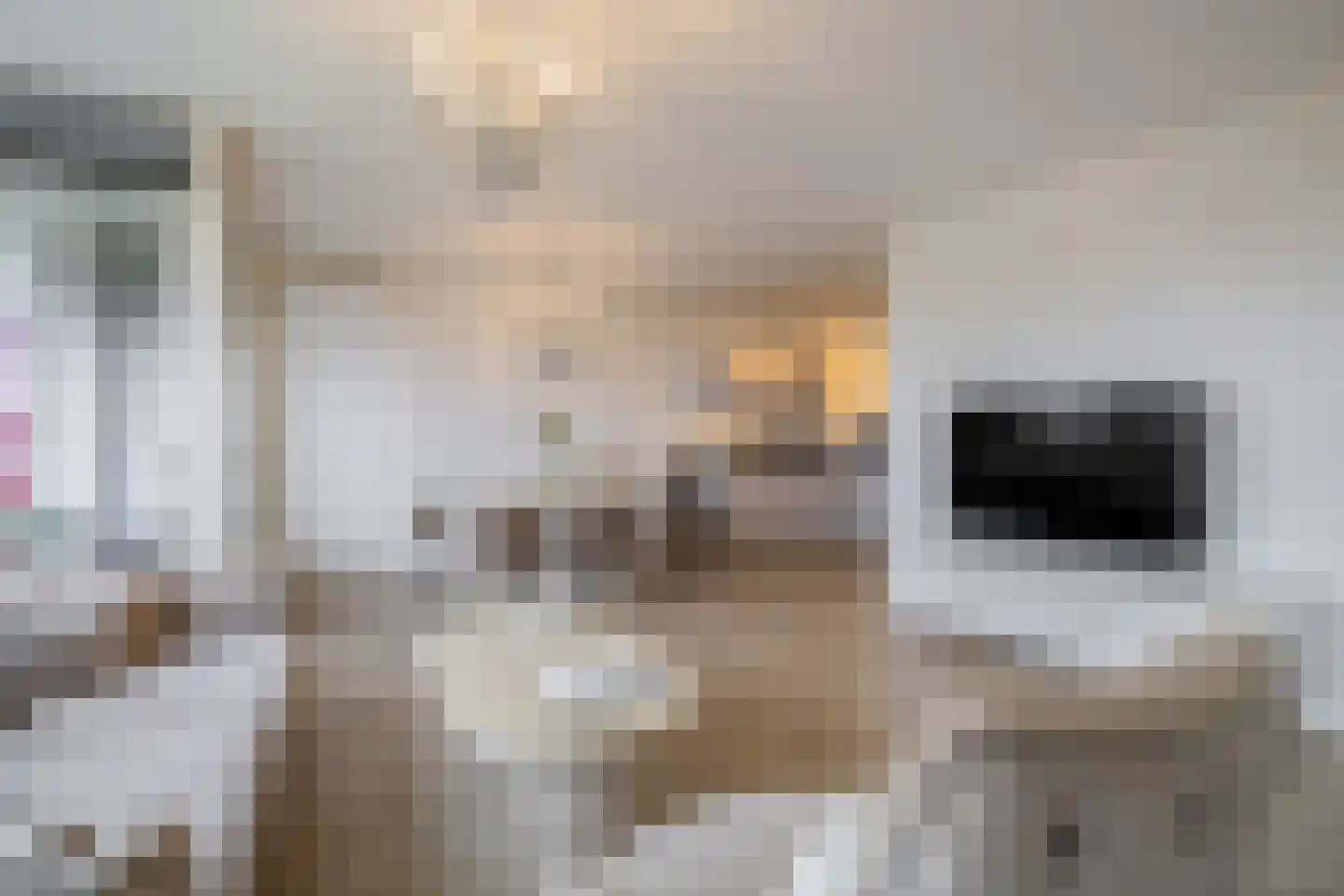 Oostmaaslaan 232 Rotterdam thumbnail 10