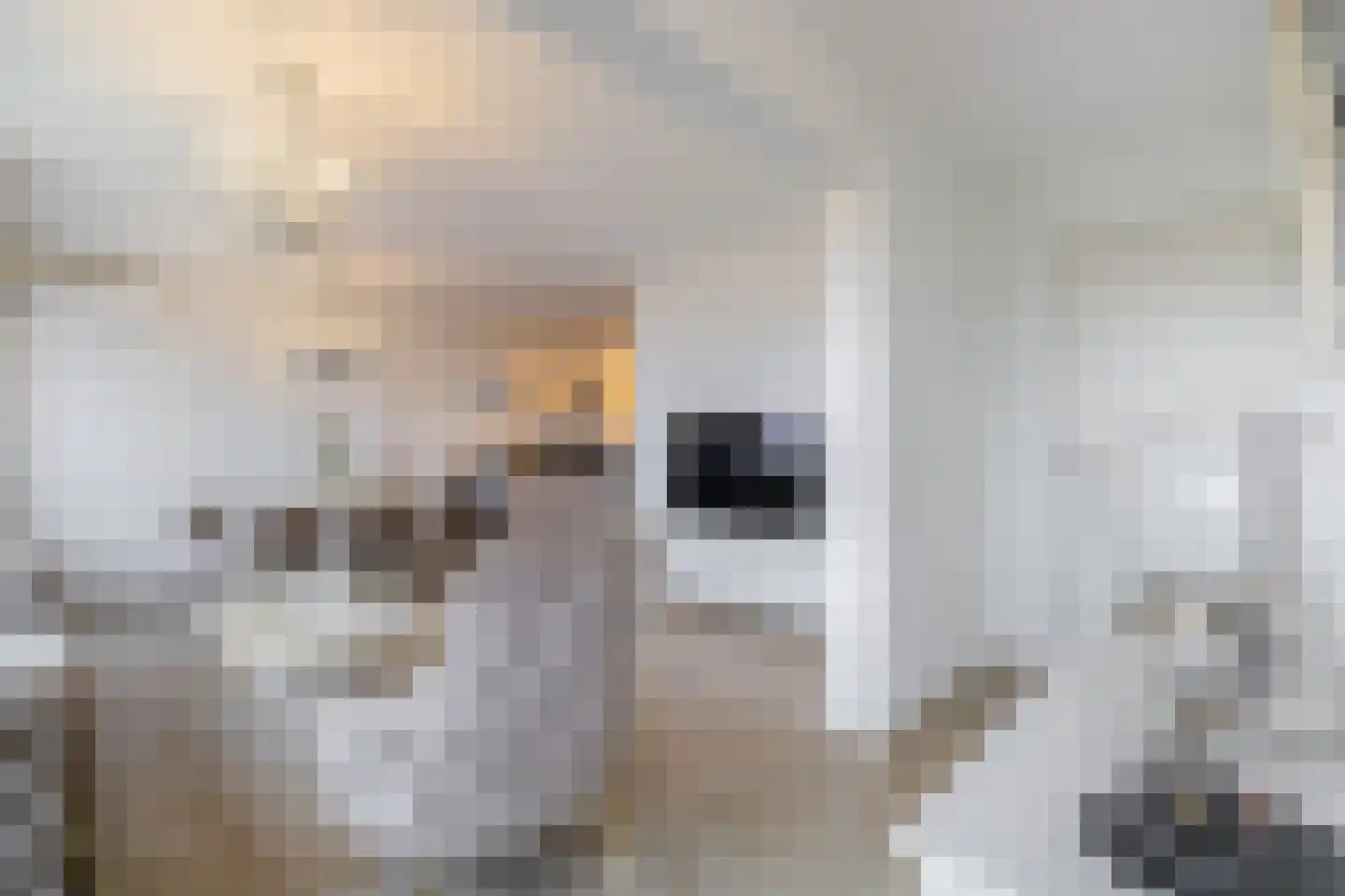 Oostmaaslaan 232 Rotterdam thumbnail 17