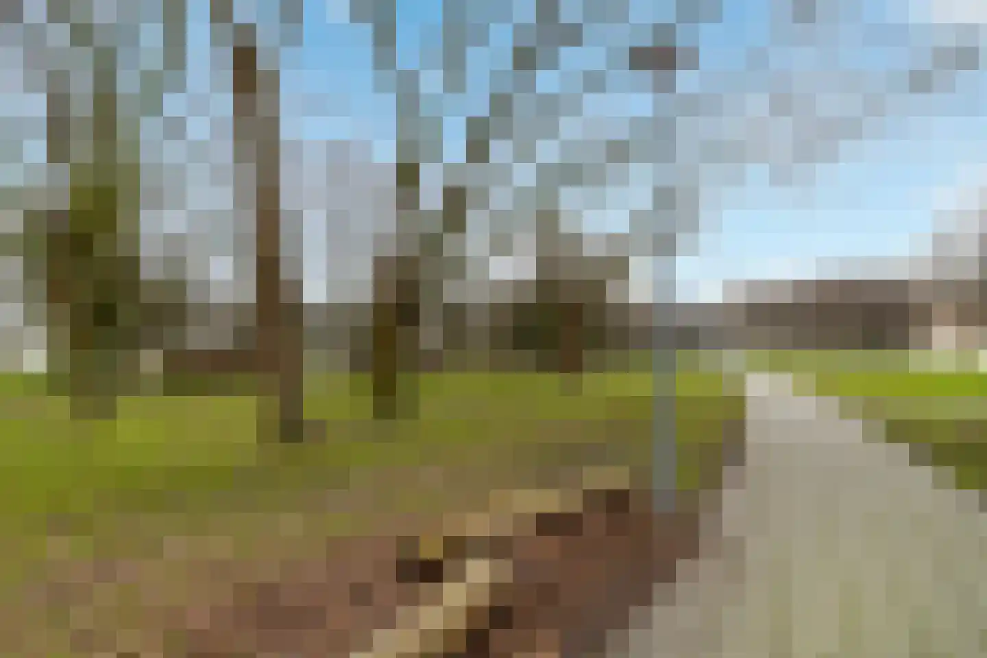 Oostmaaslaan 232 Rotterdam thumbnail 34